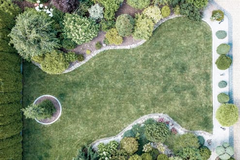 Paisajismo SNTGreen