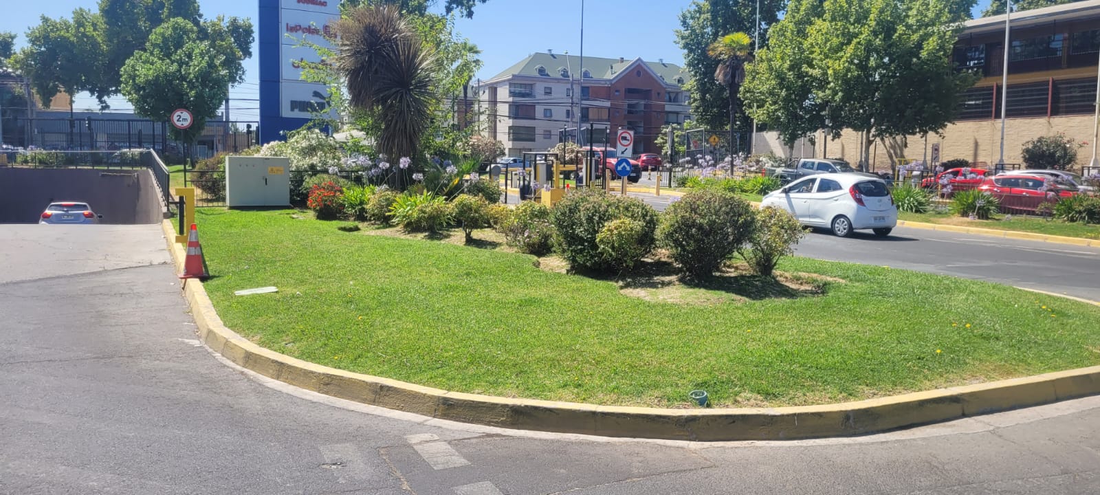 Proyecto 7
